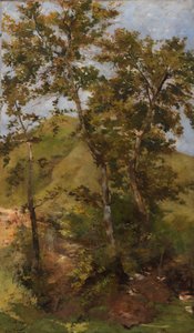 Brook by Bartolomeo Bezzi